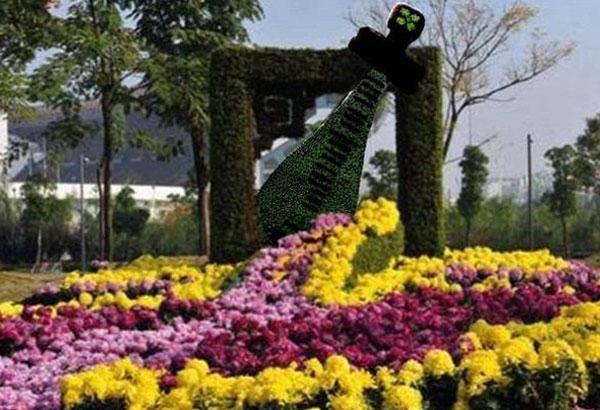菊花造型